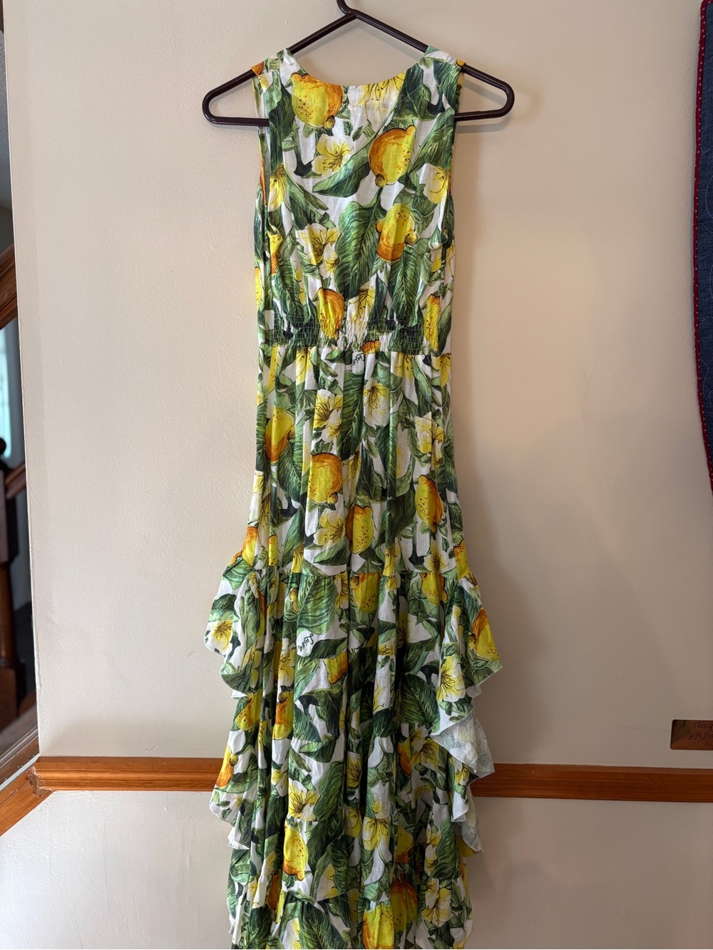 Gorgeous Luisa Positano High-Low Linen Dress - Picture 6 of 9